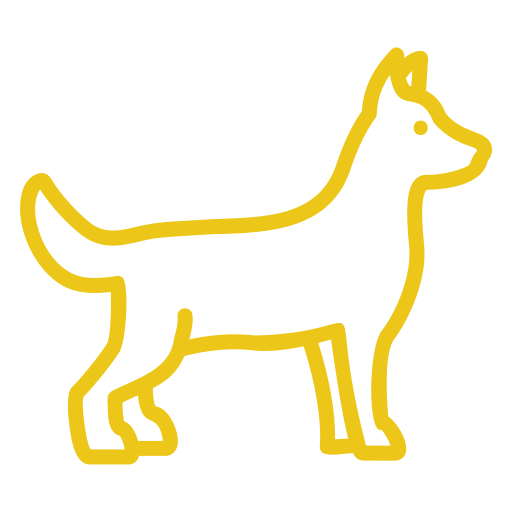 chien